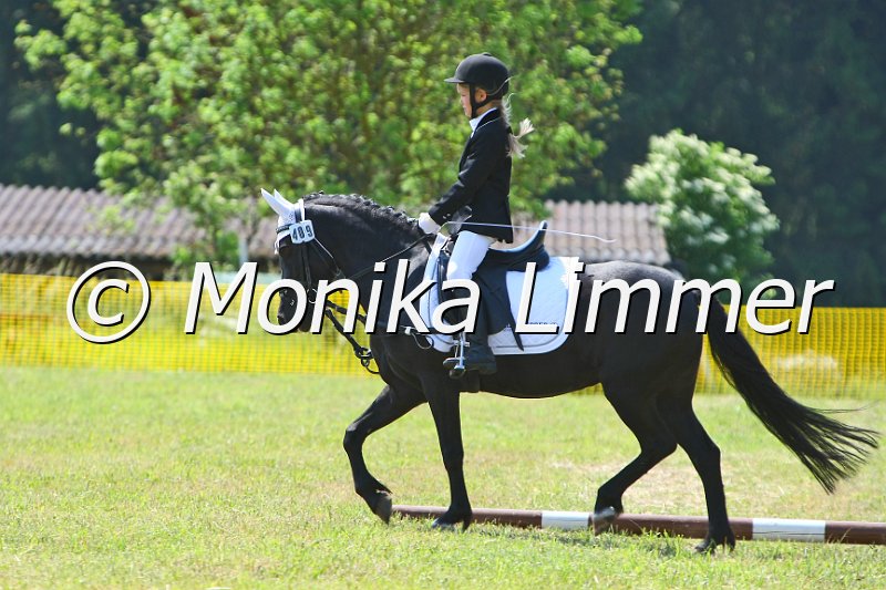 105M8544_Lucie_Reiter_WB_Abt_4.JPG - Turnier Ebersbach am 04.-05. Juni 2011Reiterin Laetitia DegelmannFoto Monika Limmer