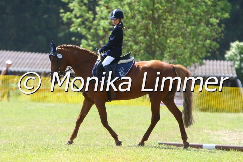 105M8539_Belissima_Reiter_WB_Abt_4.JPG