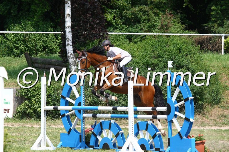 105M3683_Quiseidon_Spring_L.JPG