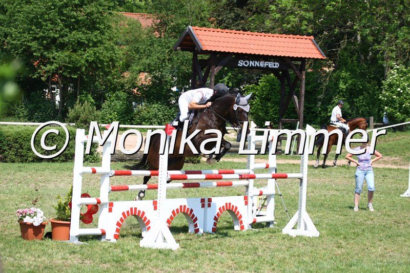 105M3564_Cassai_Spring_L.JPG