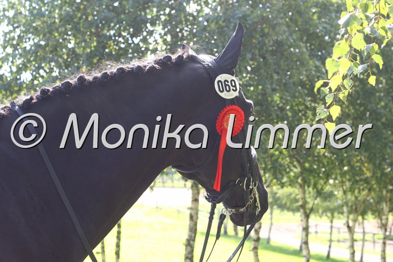 009M2125.JPG