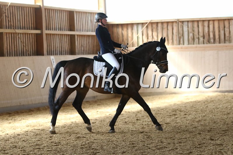 Meckl_L_Dressur_1.JPG