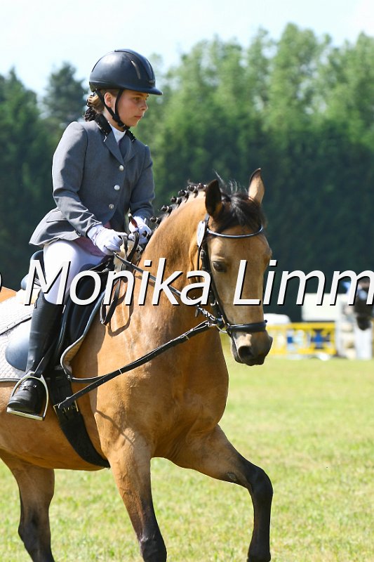 105M8339_Mail.jpg - Turnier Urmoneit 04.06.11 Foto von Monika Limmerwww.foto-limmer.de