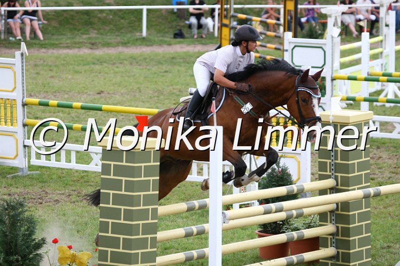 105M2539_Spring_L.JPG