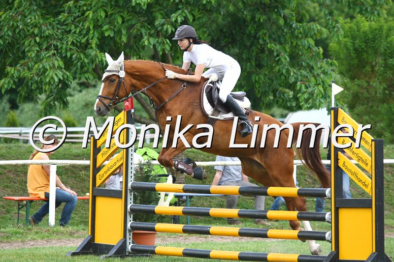 105M0533_Donaufee_Spring_A.JPG - Turnier Sonnefeld - Frankenhof am 20.05.-22.05.2011Heger Shantana Foto von Monika Limmer, www.foto-limmer.de