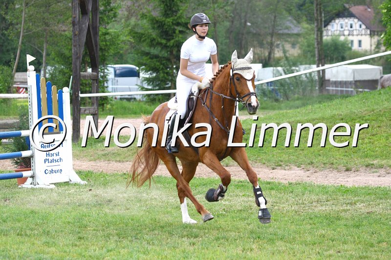 105M0538.JPG - Turnier Sonnefeld - Frankenhof am 20.05.-22.05.2011Heger Shantana Foto von Monika Limmer, www.foto-limmer.de