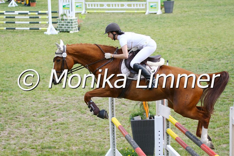 105M1023.JPG - Turnier Sonnefeld - Frankenhof am 20.05.-22.05.2011Heger Shantana Foto von Monika Limmer, www.foto-limmer.de