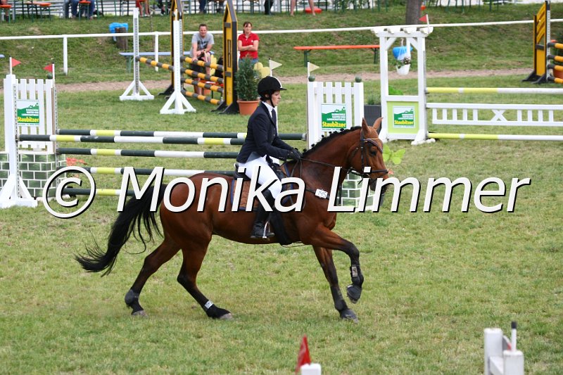 105M1056_Gippetto_Stil_A.JPG