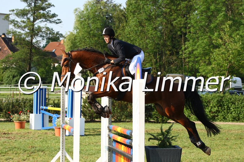 105M3127_Gippetto_Spring_A.JPG