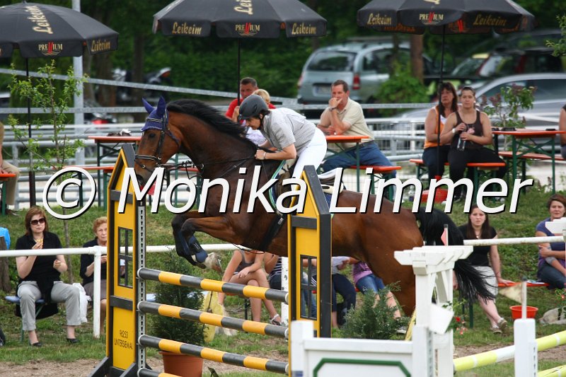 105M2537_Spring_L.JPG