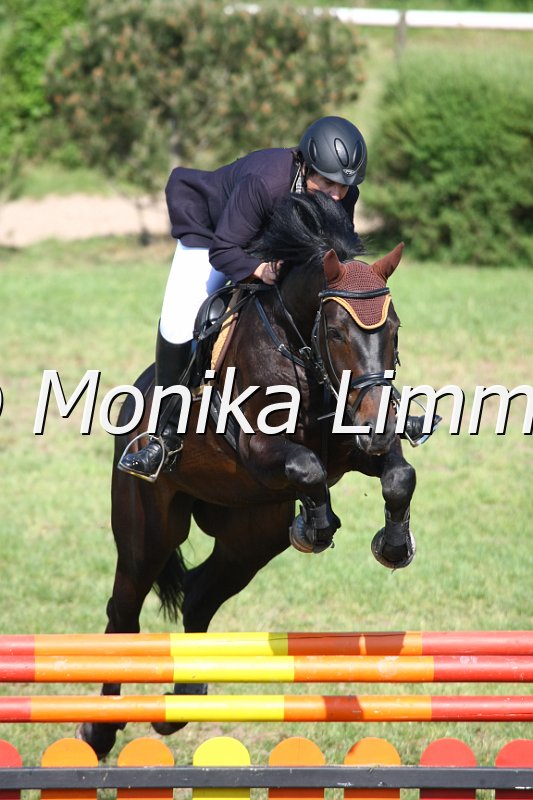 105M3362_Gaitano_Spring_A.JPG