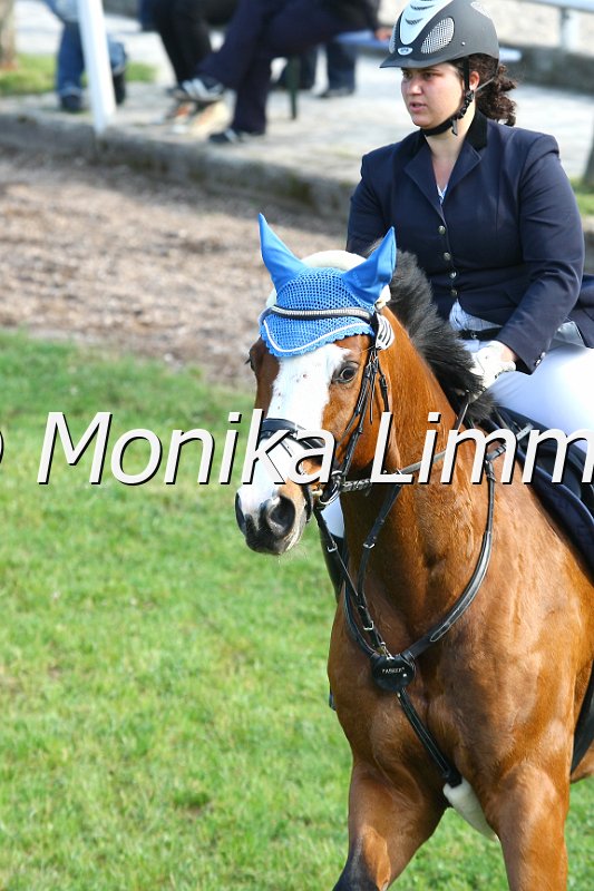 105M1593.JPG - Turnier Sonnefeld Frankenhof 2011Foto von Monika Limmerwww.foto-limmer.de