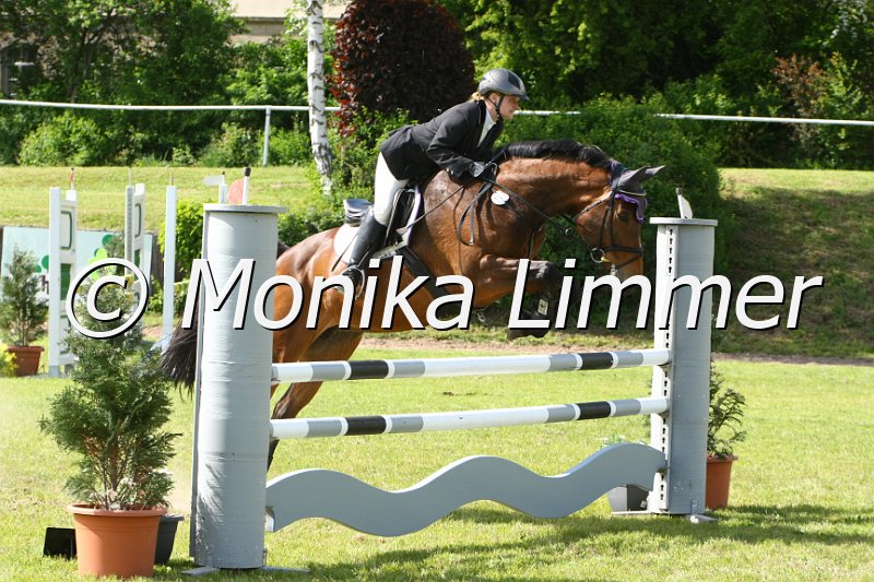 204M1395_Lamorena_Spring_Ax.JPG