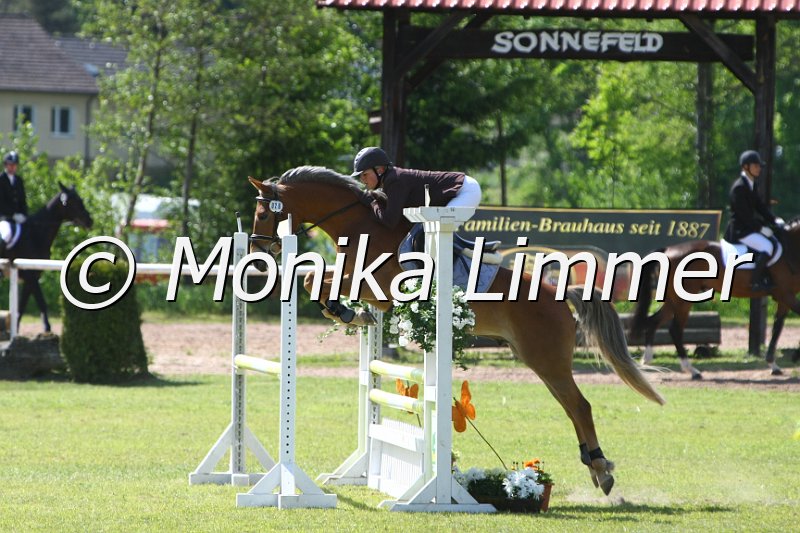 204M1321_Attila_Spring_Ax.JPG