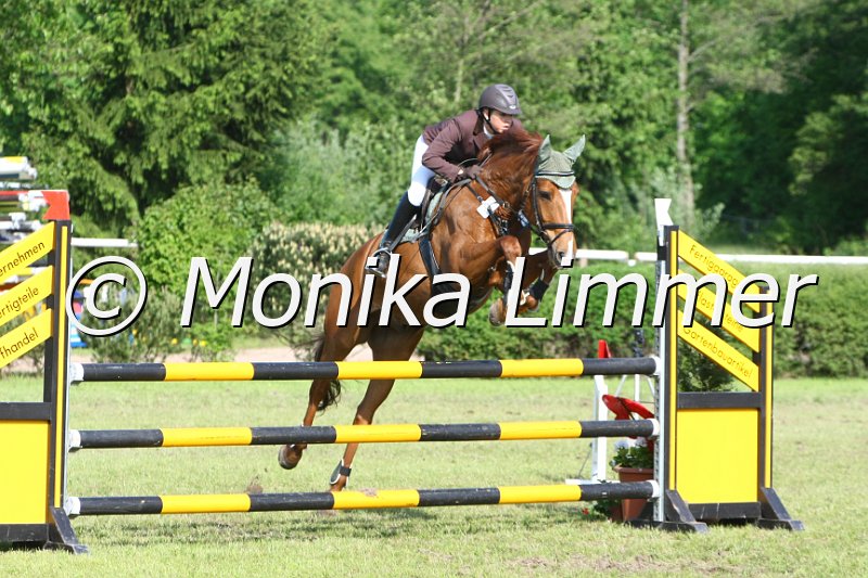 204M5098_Colin_Spring_Axx.JPG