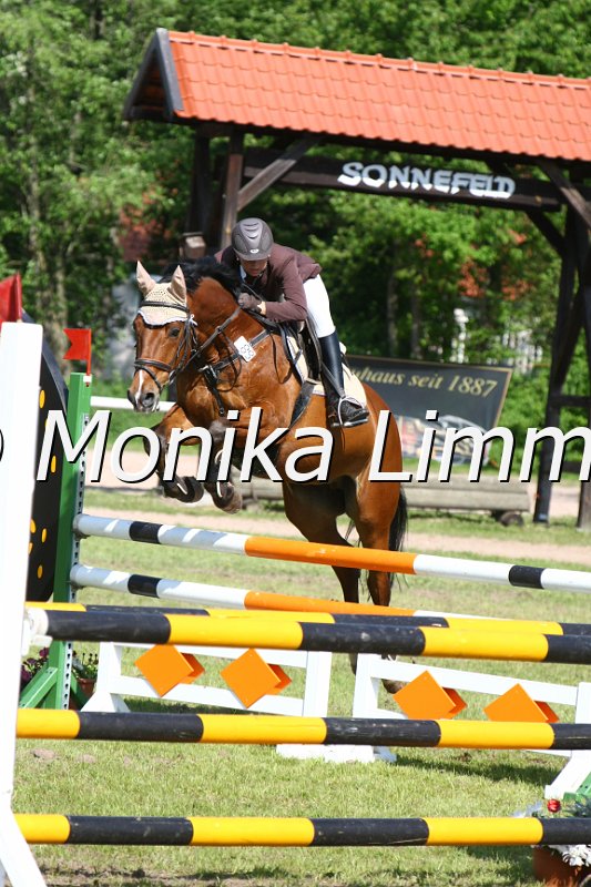 204M5300_Companion_Spring_Axx.JPG
