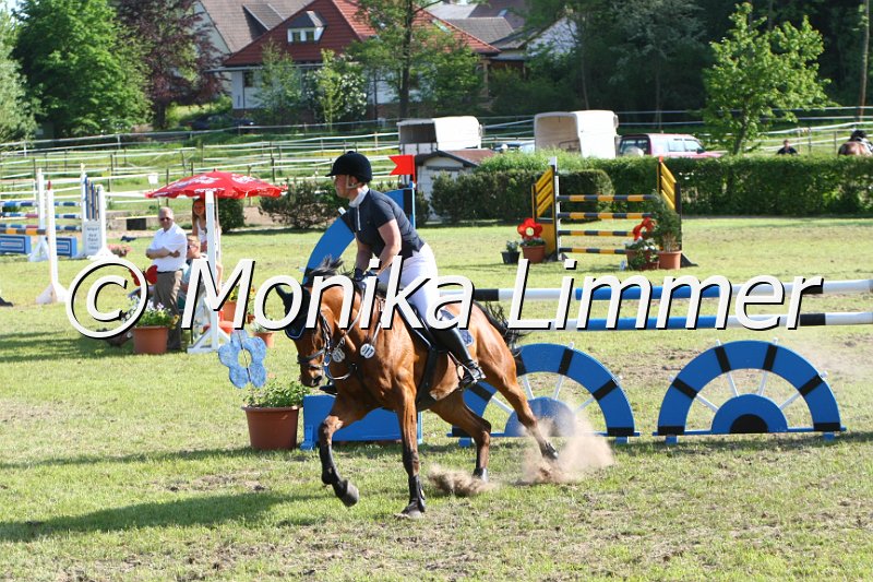 204M4543_Apollo_Spring_Mx.JPG