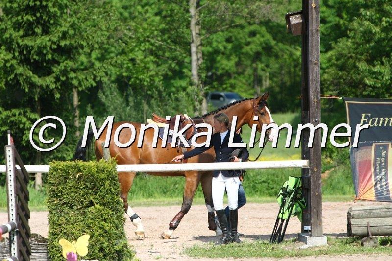 204M2836_Romeo.JPG