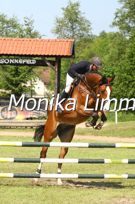 204M3088_Romeo_Springpfe_Axx.JPG