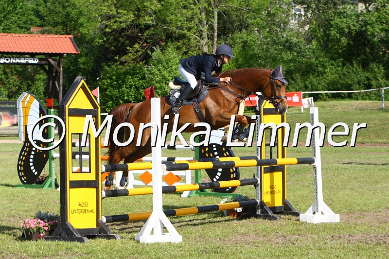 204M5139_Spring_Axx.JPG