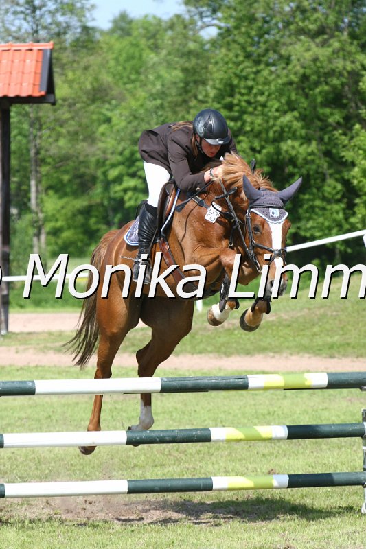 204M3081_Quinara_Springpfe_Axx.JPG
