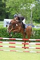 204M0699_Quinara_Spr_Pferde_A