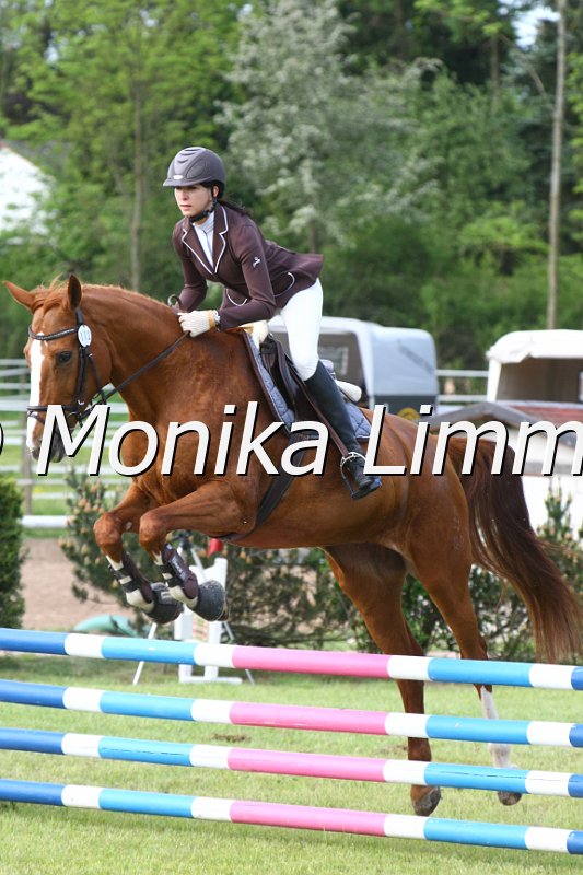 204M2495_Donaufee_Stil_A.JPG