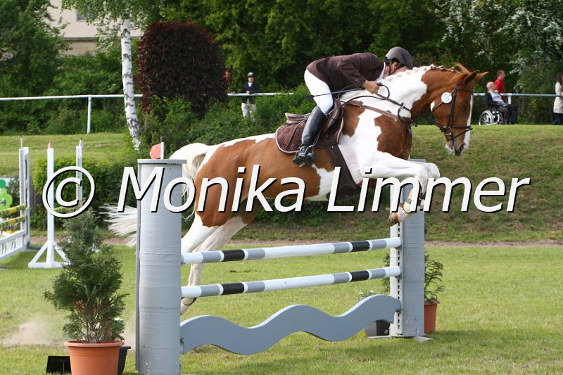 204M1574_Kaja_Spring_Ax.JPG