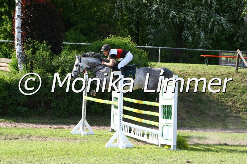 204M4475_Colambo_Spring_Mx.JPG