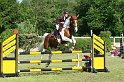 204M5154_Kaja_Spring_Axx