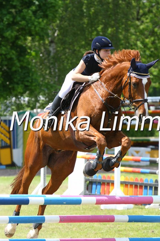 204M3916_Lumpi_Spring_L.JPG