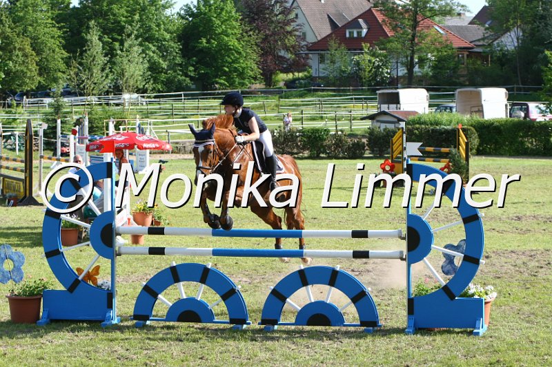 204M4512_Lumpi_Spring_Mx.JPG