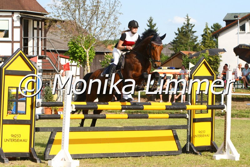 204M4469_Spring_Mx.JPG
