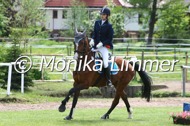 204M0928_Chiquita_Spring_Ax.JPG