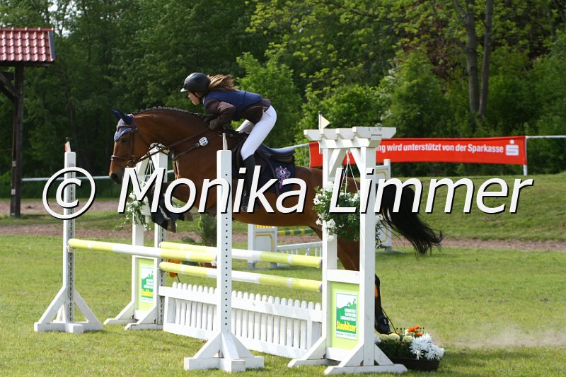 204M1411_Luna_Spring_Ax.JPG