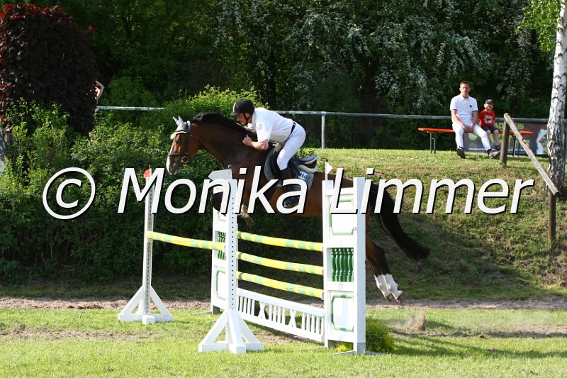 204M4484_Colandor_Spring_Mx.JPG