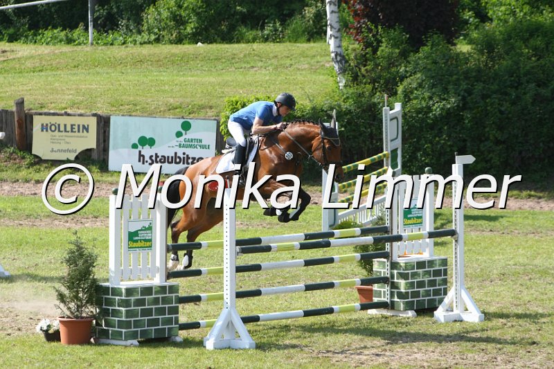 204M4327_Quschee_Springpferde_L.JPG