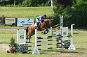 204M4327_Quschee_Springpferde_L