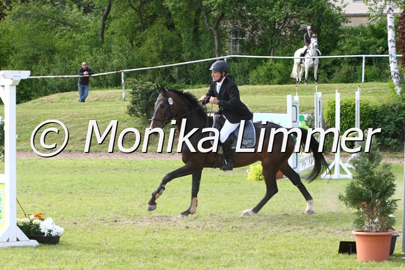 204M1595_Siegismund_Spring_Ax.JPG
