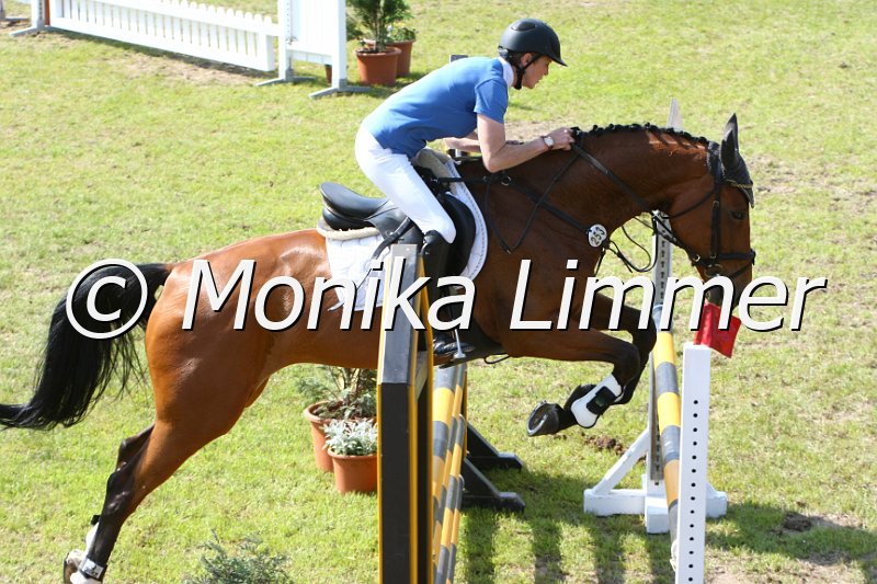 204M4321_Quintana_Springpferde_L.JPG