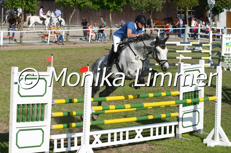 204M4598_Abahatschi_Spring_Mx.JPG