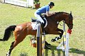 204M4321_Quintana_Springpferde_L