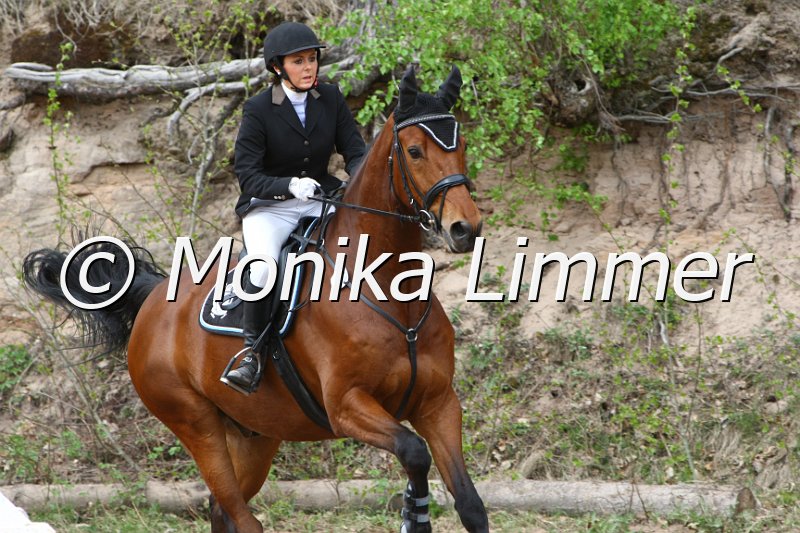 204M0446_Lexington_Spring_Ax.JPG