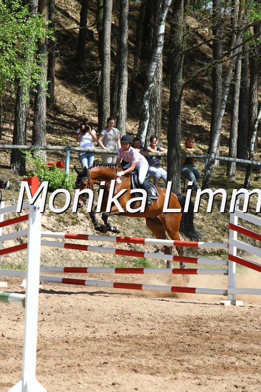204M8463_Lexington_Spring_Axx.JPG