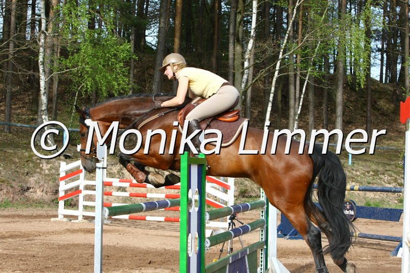 203M7207_Saphir_Spring_Mx.JPG