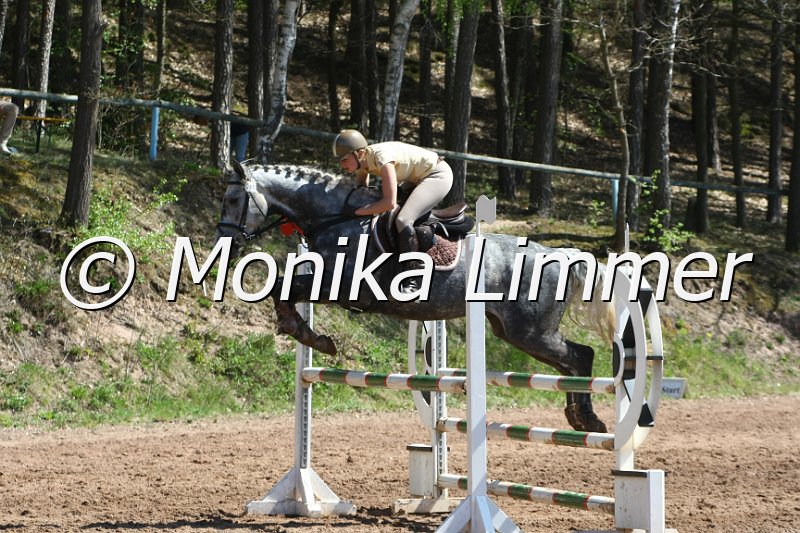 204M8200_Glamont_Springpferde_A.JPG