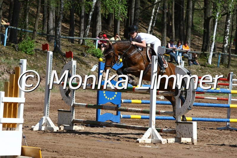 204M8652_Gluecksfee_Stil_L.JPG