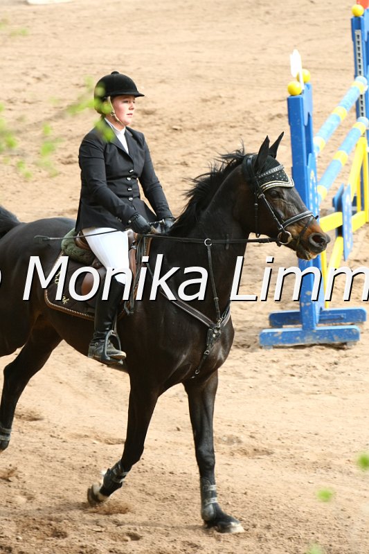 204M0746_Roxy_Spring_Mx.JPG