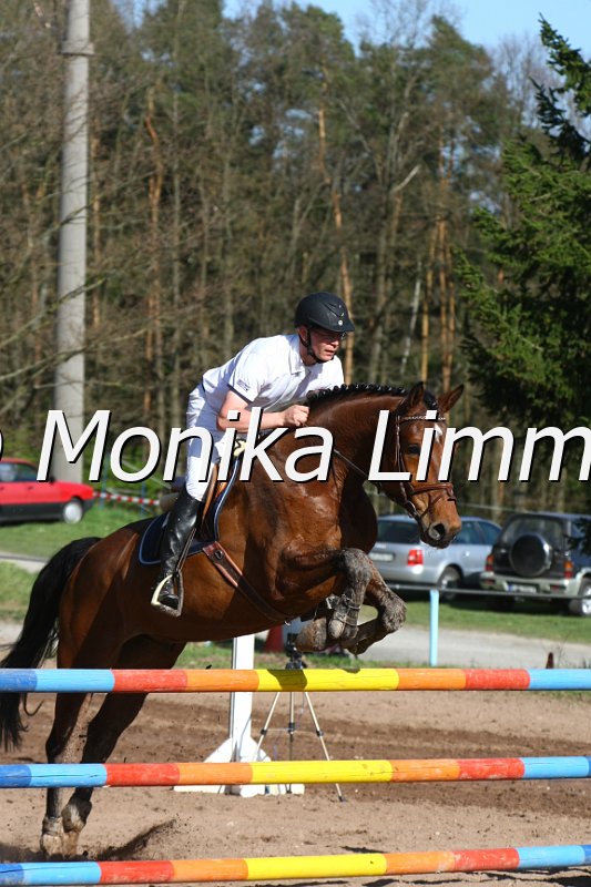 204M8801_Christorado_Springpferde_L.JPG