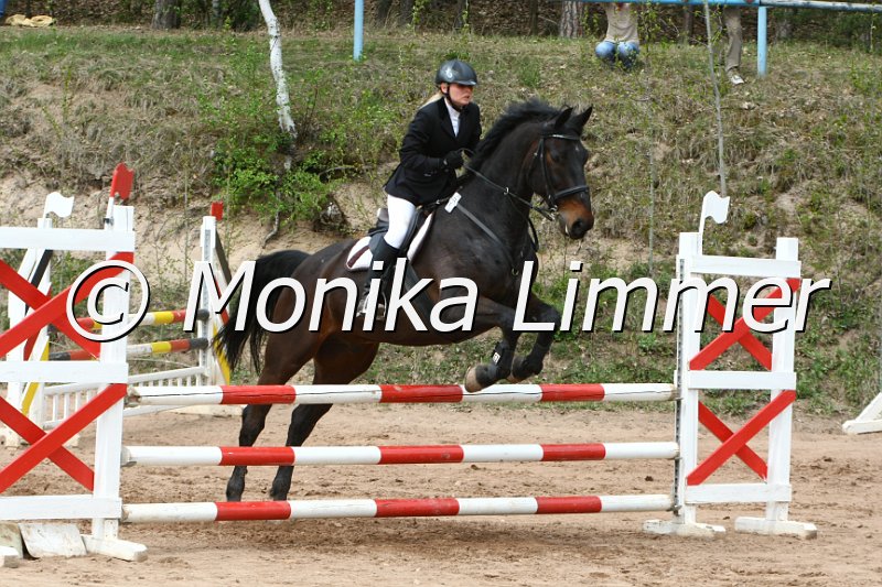 204M0285_Winston_Spring_Ax.JPG